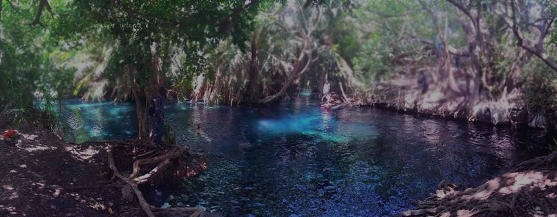 Kikuletwa Hot Springs