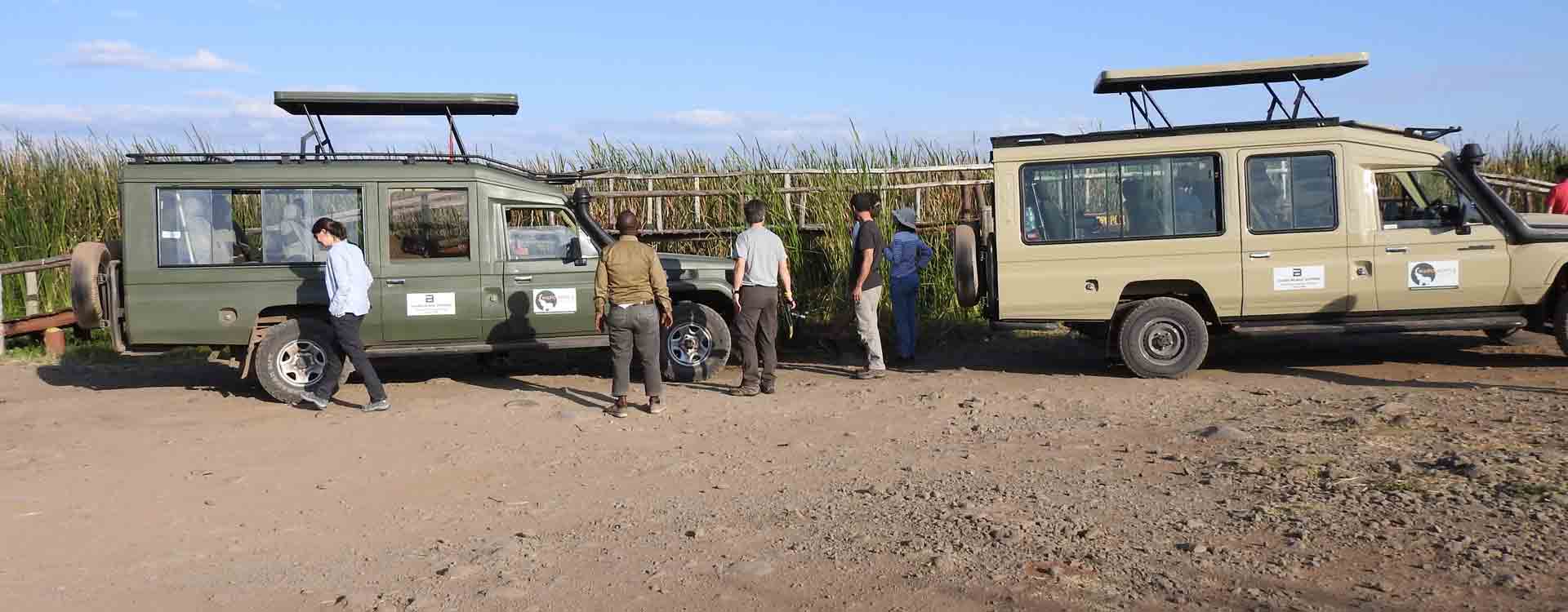 Discover Wildlife and Wilderness