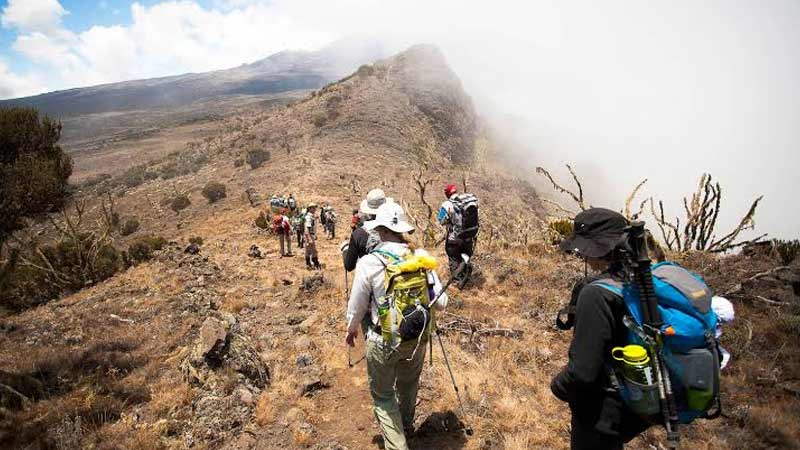 Lemosho Route